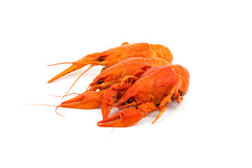 Boiled Fresh Crayfish,Crawfish,  isolated on white background
