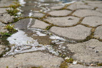 Sparkling water flowing between paving stones