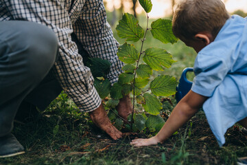 boy with his grandfather planting a tree in the city park