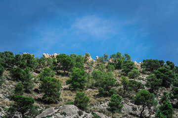 Naklejka premium Cima de montaña con estructuras enpedradas