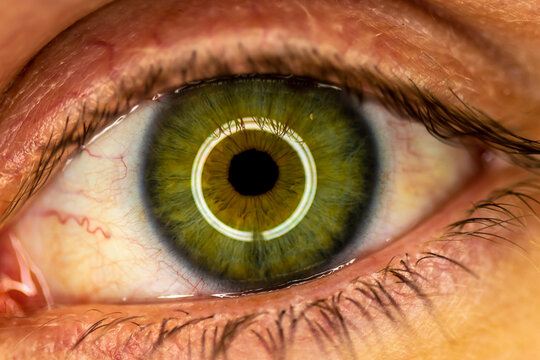 Gr&uuml;ne Augen Makro mit Ringlicht