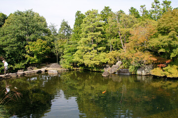 Fototapeta na wymiar pond in the park with trees
