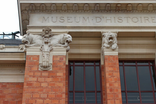 science museum (paleontology gallery) in paris (france)