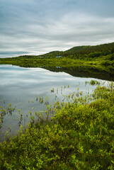 Fototapeta na wymiar Nature of Karasjok reflected in a river, Norway 