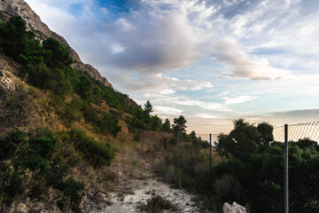 Vistas de la montaña y el bosque.