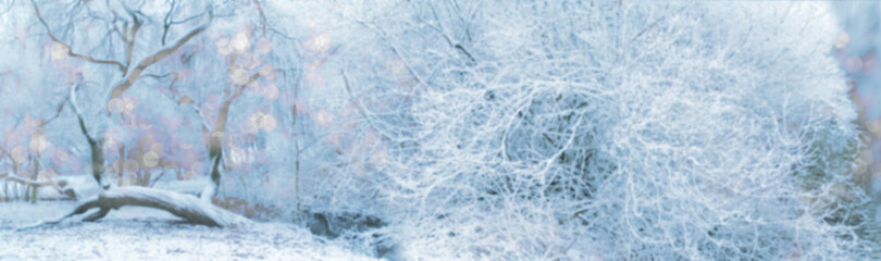 photograph of a defocused winter landscape, trees white with snow, background for a designer, concept of winter mood, christmas, weather forecast