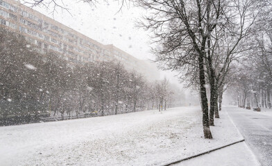 The first snow falls on a Park bench. Snow storm, snowstorm in the city. The first snow on a dark...