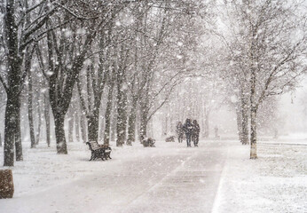 A man walks in snowy weather on the Boulevard. Heavy snowfall, walking with the dog. Thick snow...