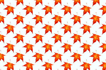 A repeating pattern of red maple leaves on a white background. Autumn concept