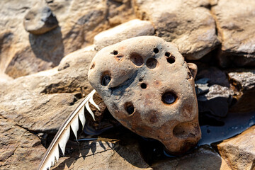 ocean rock with holes