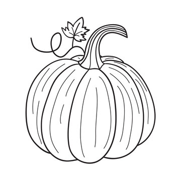 Pumpkin for coloring book. Line art design for kids coloring page.Isolated on white background.Vector illustration
