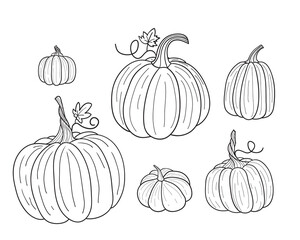 Pumpkin for coloring book. Line art design for kids coloring page.Isolated on white background.Vector illustration - 381618255