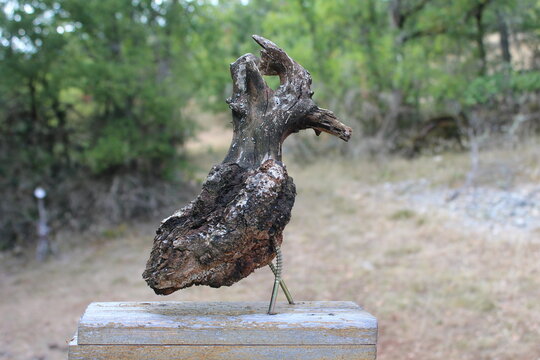 Wooden Bird