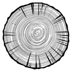 Log cut, vector illustration. Tree rings pattern, shades of gray.