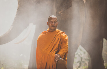 Thai monks walking in the jungle with elephants - obrazy, fototapety, plakaty