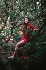 Beautiful Asian woman in red dress in a forest