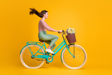 Full length body size side profile photo of girl riding blue bicycle with basket of wild flowers isolated on vibrant yellow color background