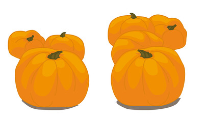 vector illustration autumn pumpkin holiday