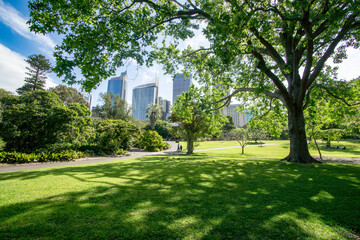 Blue and cloudy sky, modern buildings seen from a botanic garden with green grass and large tree...