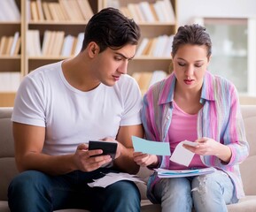 Young family discussing family finances