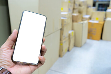 person holding smartphone