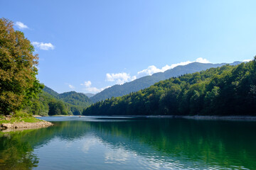 Naklejka na ściany i meble Biogradska gora national park landscape in Montenegro.