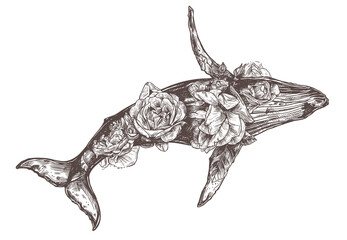 Vector hand drawn double exposure illustration of  humpback whale and flowers. Detailed engraving style, creative, magical and surreal drawing with multiexposure giant animal and roses © alexrockheart