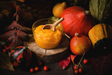 Dark mood rustic pumpkin puree