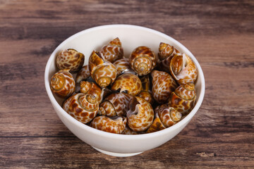 Tasty mollusk - spotted Babylon in the bowl