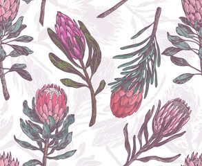 Cotton fabric Seamless pattern with sketch drawing of protea. Botanical vector illustration for wallpaper, wrapping, textile print. Tropical exotic flower