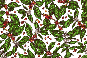 Cotton fabric Seamless vector pattern with coffee tree and plants. Coffee growing color background in hand drawn engraving style. Sketch of grains, berries, foliage and flowers
