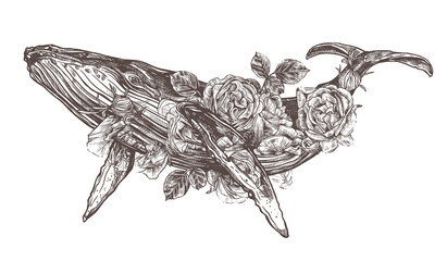 Vector hand drawn double exposure illustration of  humpback whale and roses flowers. Sketch detailed engraving style, creative, magical and surreal idea for tattoo or print © alexrockheart