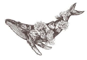 Vector hand drawn double exposure illustration of  humpback whale and roses flowers. Sketch detailed engraving style, creative, magical and surreal idea for tattoo or print © alexrockheart