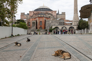 Aya Sofia, Istanbul, Turkey 14/10/2019