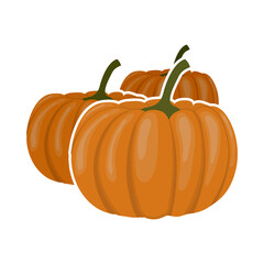 Pumpkin Icon