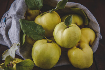 Close-up of ripe quinces rolling out of a linen sack, dark background