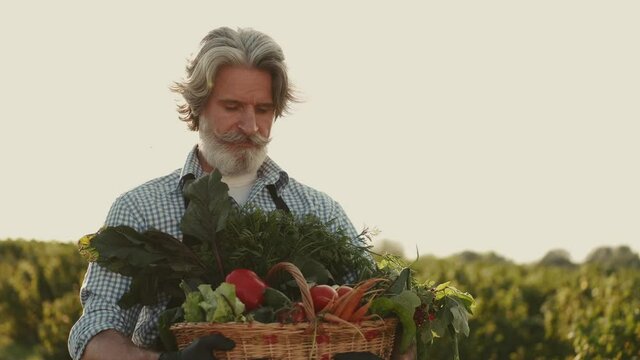 Stylish farmer looking at his organic vegetables on farm on sunset. Organic farming concept