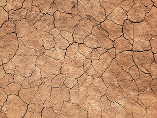 The ground has cracks in the top view for the background