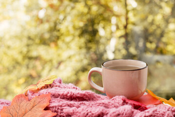 Obraz na płótnie Canvas Autumn still life - Warm knitted scarf and cup of tea near a window.