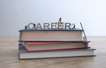 Building a career