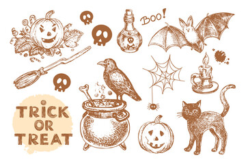 Hand drawn sketch illustration collection for Halloween day. Black cat, bat, pumpkins and the inscription trick or treat