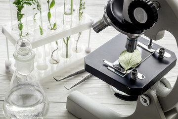 Scientific research plants and soil in microbiology laboratory with microscope.