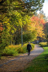 Adult woman walking away alone on path in autumn park