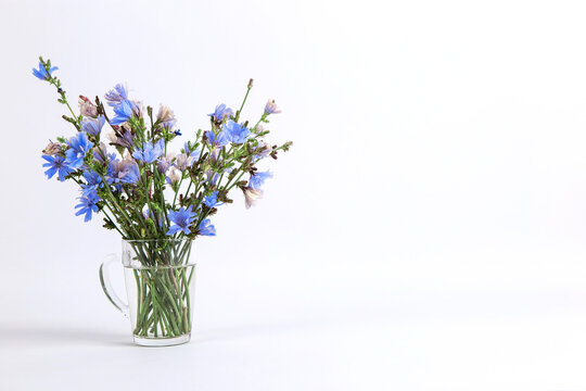 Blue flowers in a glass cup on a white background. Copy space.