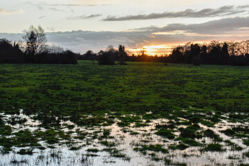 Sunrise Across Beautiful Irish Meadow