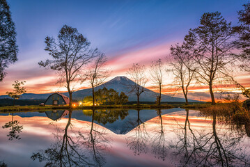 Fototapeta premium Mt. Fuji with big trees and lake at sunrise in Fujinomiya, Japan.
