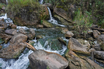 The swift stream is full of plants 1
