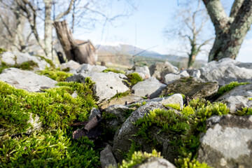 Scenic path with aged mossy stone walls to the medieval mountain village Skocjan, Slovenia