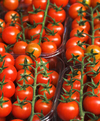 Tomatoes in a street market