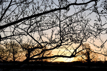 Fototapeta premium Beautiful Golden Sunrise over Irish Landscape